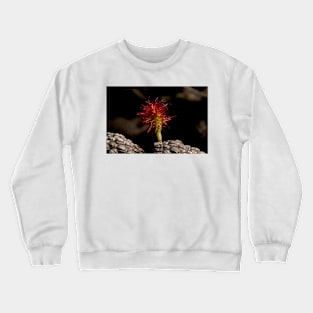 Casuarina Female Flower Crewneck Sweatshirt